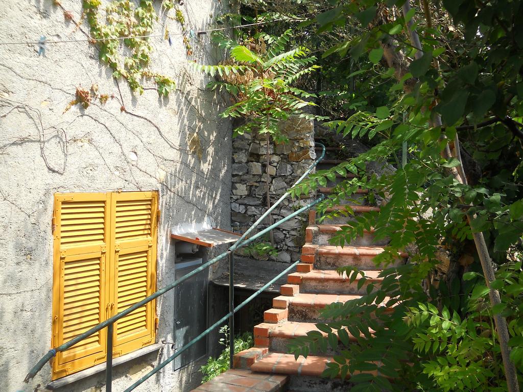 Ornella Villa Genova
